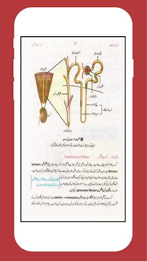 Biology 10 Urdu Medium (Offline) screenshot 4