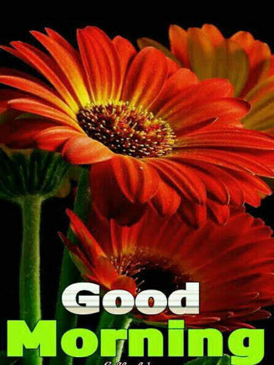 Good Morning Flowers Images GIF screenshot 6
