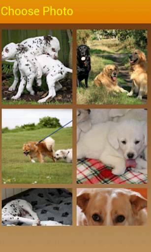 Doggies Slider Photo Puzzle screenshot 2