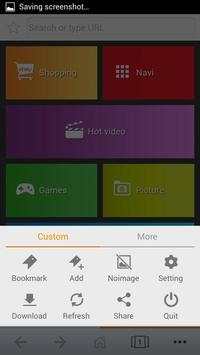 Flash  Browser screenshot 1
