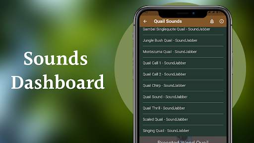 Quail Sounds - Quail Bird Calls screenshot 3