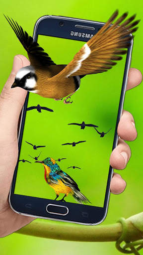 Flying Birds 3d Live wallpaper screenshot 2