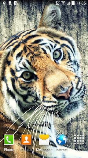 Tiger Live Wallpaper screenshot 3