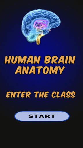 Anatomy of CNS screenshot 4
