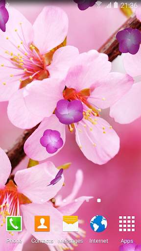 Cherry Blossom Live Wallpaper screenshot 3