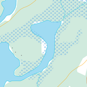 Map Viewer icon