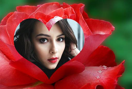 Rose Flower Photo Frames 2016 screenshot 12