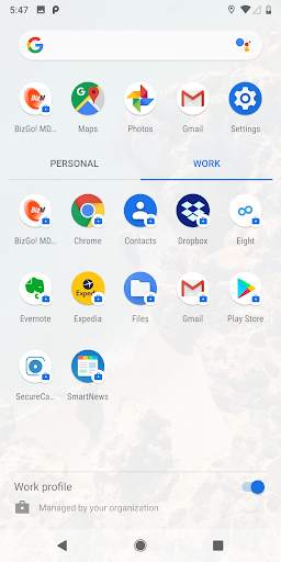BizGo! MDM screenshot 2