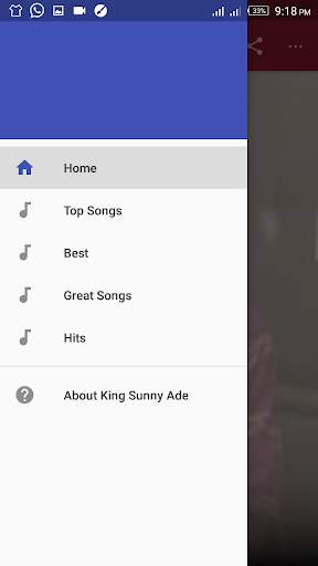 King Sunny Ade screenshot 1