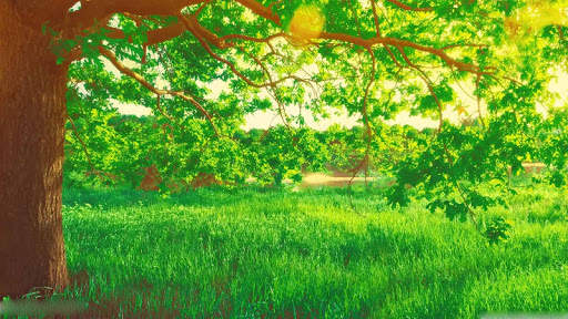 Spring Scenery Wallpaper screenshot 3