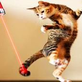 Laser Pointer Simulator Cat icon