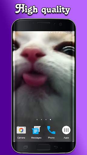 Cat Lick Screen Live Wallpaper screenshot 2