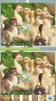 Find Difference Game Duck screenshot 1