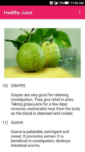 Healthy Vegetable and Fruit Juice Recipe screenshot 2