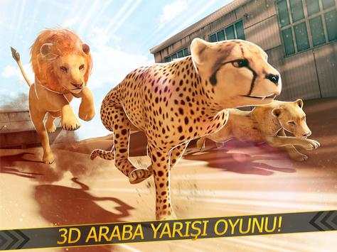 Leoparlar karşı Aslanlar - Vahşi Savan Yarış screenshot 4