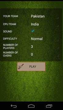 Casual Cricket screenshot 2