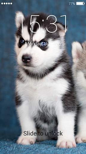Husky Lock Screen 4 تصوير الشاشة