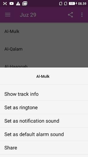 Juz 29 Sa'ad Alghamidy Offline screenshot 4
