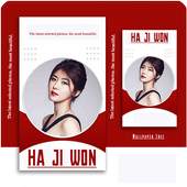 Ha Ji Won - Idol Wallpaper HD Free 1.0.118