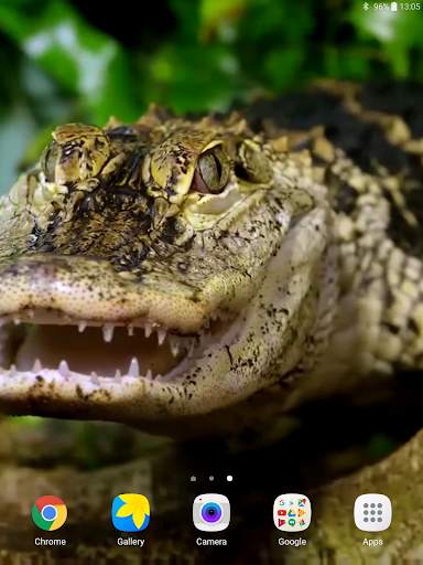 Crocodile Live Wallpaper screenshot 11