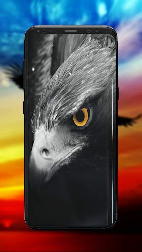 Eagle Wallpaper screenshot 4
