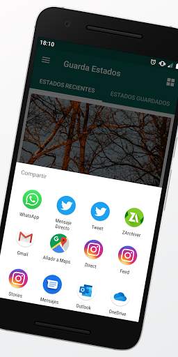 Guarda Estados screenshot 4