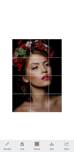 Grid App for Artists screenshot 6