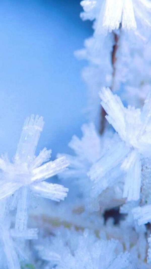 Snow on the Go Live Wallpaper screenshot 1