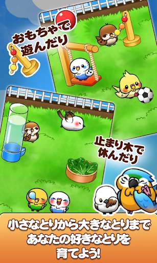 バードライフ　-鳥さん育成ゲーム- screenshot 4