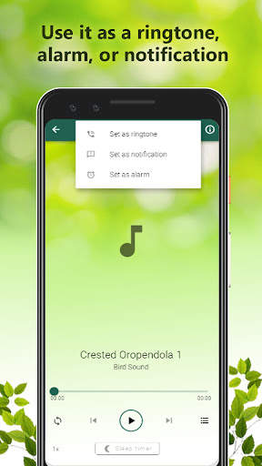 Bird Calls Sounds screenshot 6