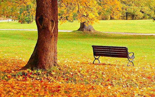 Fall Wallpaper & Screensaver screenshot 4