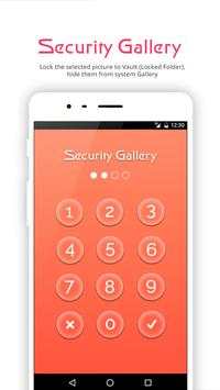 Security Gallery скриншот 2