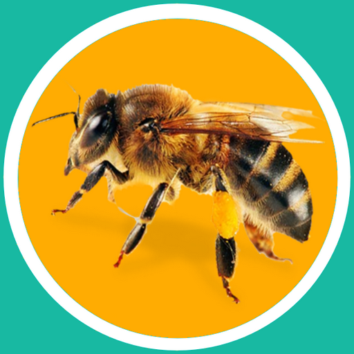 Bee Sound Prank icon