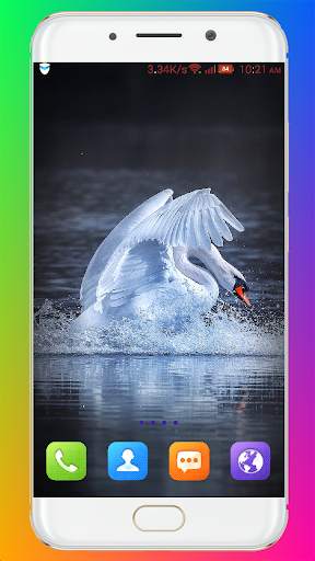 Swan Wallpaper HD screenshot 2