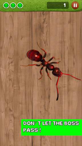 Ant Smasher by Best Cool & Fun Games screenshot 5