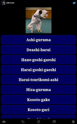 Judo in brief screenshot 24