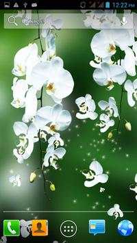Flowers 3D live wallpaper screenshot 4