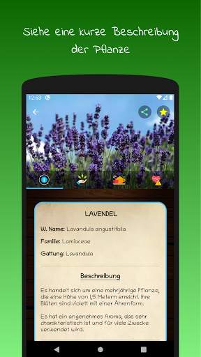myRemedy: Heilpflanzen screenshot 4