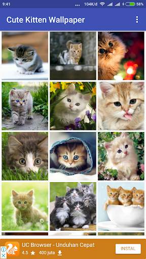 Cute Kitten Wallpaper screenshot 1