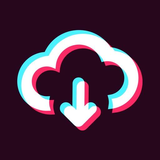 TikTok Videos Saver 1