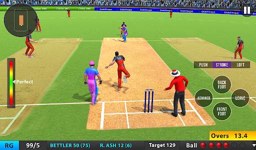 Indian T20 Cricket League 2022 screenshot 13