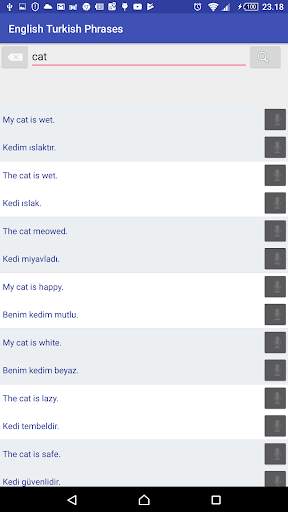 English Turkish offline phrases screenshot 2