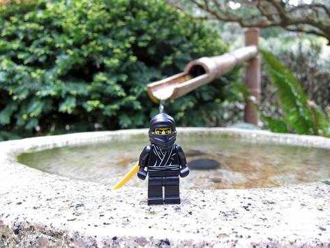 Toy Puzzle Ninja screenshot 3
