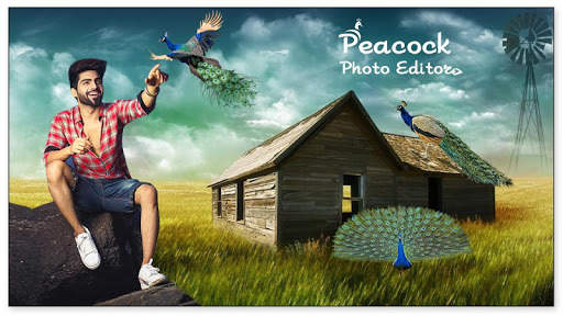 Peacock Photo Editor screenshot 2