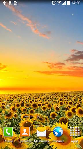 Flower Live Wallpaper screenshot 8