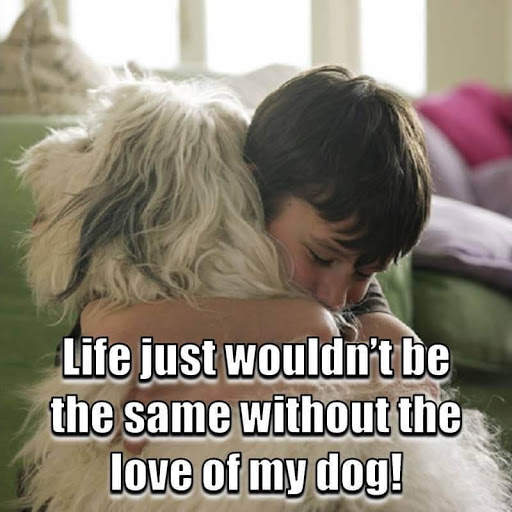 Animal Lover Quotes - Dog Lover Status - Cat Love screenshot 19