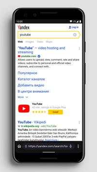Fast and Small browser Alicia Lite screenshot 5