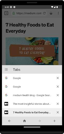 Incognito Browser screenshot 2