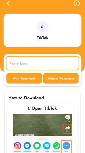 Vidfast Downloader screenshot 2