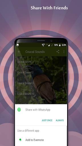 Coucal Sounds screenshot 5